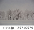 音なき世界（雪景色） 25710579