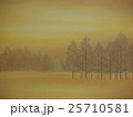 琥珀の時（雪景色） 25710581