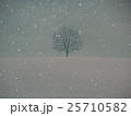 しんしんと（雪景色） 25710582