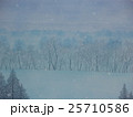 レクイエム（雪景色） 25710586