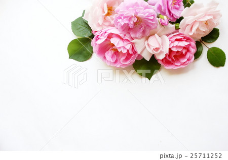 育てた薔薇のナチュラルなアレンジメント 育てた薔薇のナチュラルなアレンジメント 25711252