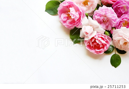 育てた薔薇のナチュラルなアレンジメント 育てた薔薇のナチュラルなアレンジメント 25711253