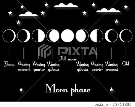 The phases of the moon. Vector illustration. 25711880