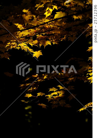 錦秋 (44) 25712396