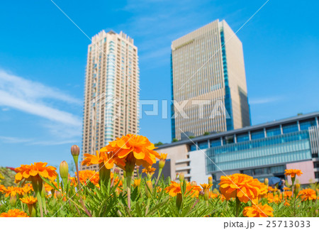 花畑とビル 花畑とビル 25713033