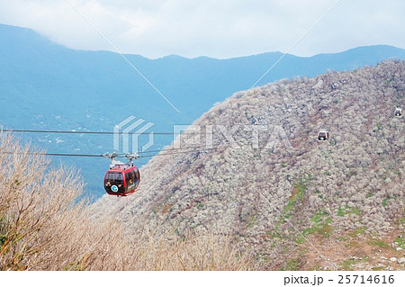 神奈川県観光スポット・箱根大涌谷の噴煙に白む山肌と行き交う箱根ロープウェイ・赤色白色3機横位置 神奈川県観光スポット・箱根大涌谷の噴煙に白む山肌と行き交う箱根ロープウェイ・赤色白色3機横位置 25714616