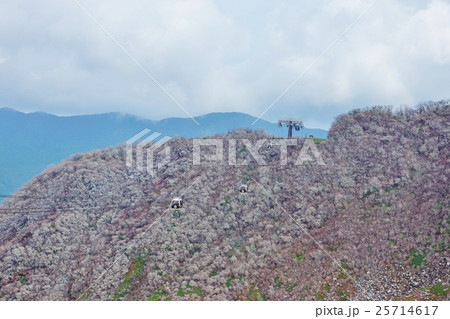 神奈川県観光スポット・箱根大涌谷の噴煙に白む山肌と行き交う箱根ロープウェイ・白色3機横位置 神奈川県観光スポット・箱根大涌谷の噴煙に白む山肌と行き交う箱根ロープウェイ・白色3機横位置 25714617