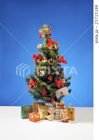 クリスマスのネットショッピング クリスマスのネットショッピング 25715186