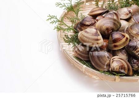 はまぐりのざる盛り　三重県産 25715766