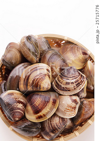 はまぐりのざる盛り　三重県産 25715776