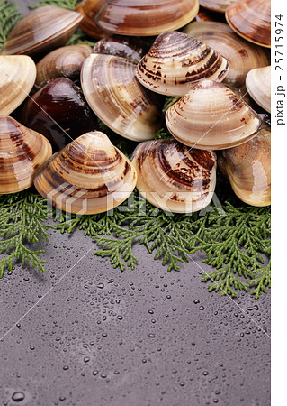 シズル感たっぷりのはまぐり　三重県産 25715974