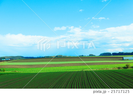 女満別の農村風景 25717125