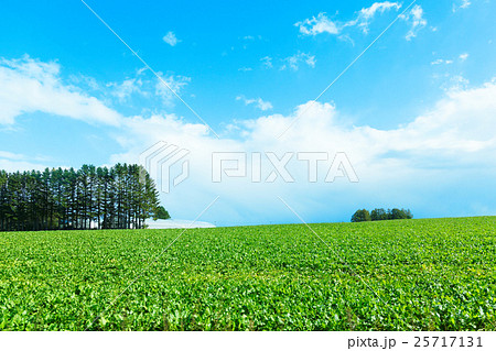 女満別の農村風景 25717131