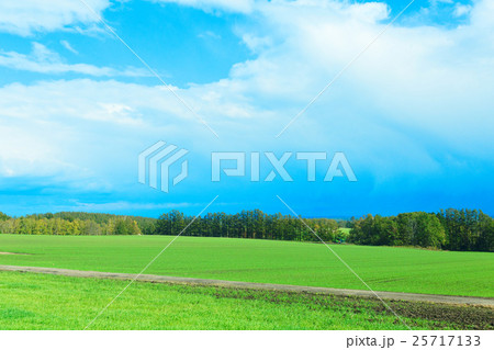 女満別の農村風景 25717133