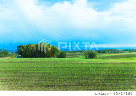 女満別の農村風景 25717139