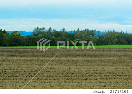 女満別の農村風景 25717161
