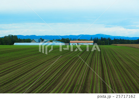 女満別の農村風景 25717162