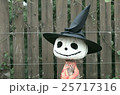 ハロウィン 25717316