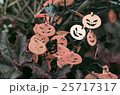 ハロウィン 25717317