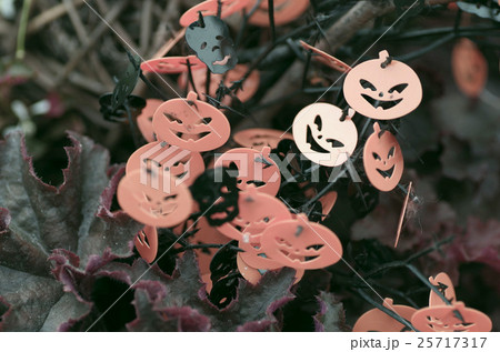 ハロウィン ハロウィン 25717317