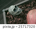 ハロウィン 25717320