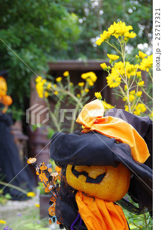 ハロウィン ハロウィン 25717321