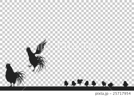 2017 Rooster year card 25717954