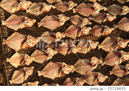 魚の干物 魚の干物 25719055
