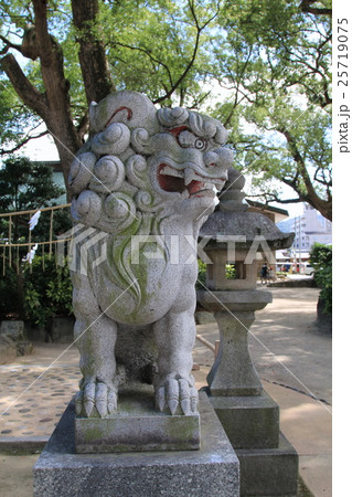 宇美八幡宮の狛犬 25719075