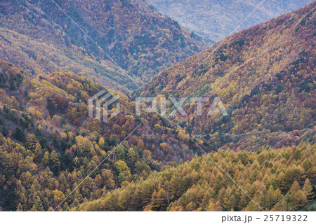 秋色の松川渓谷水源林 秋色の松川渓谷水源林 25719322