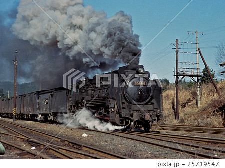 月と鹿の飾りデフD51　882号車 25719547