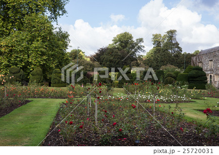 英国の公園 英国の公園 25720031