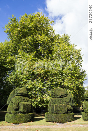 英国の公園 25720540