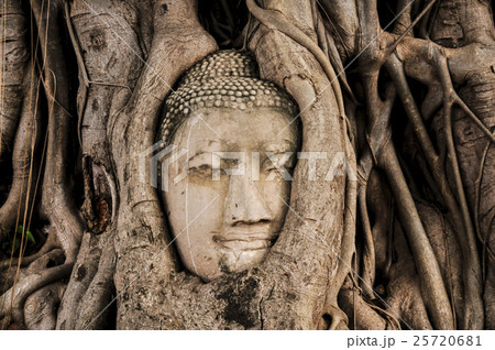 ワット・マハタート 仏頭 ワット・マハタート 仏頭 25720681