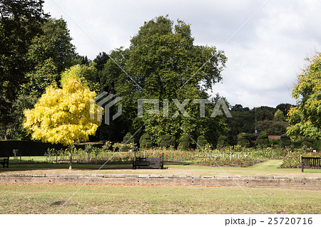 英国の公園 25720716