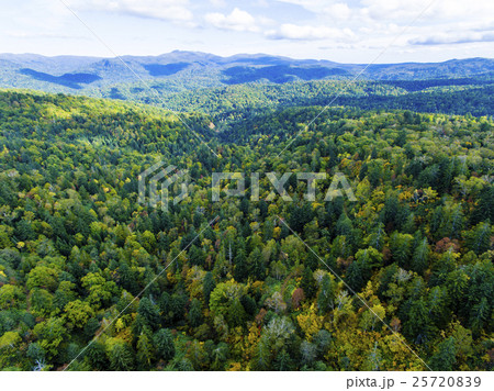 北海道の森林(中山峠付近) 空撮 北海道の森林(中山峠付近) 空撮 25720839