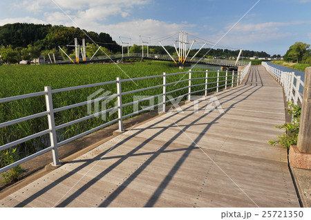 十二町潟 25721350