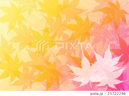 グラデーション紅葉ピンクよこ(左カエデa) グラデーション紅葉ピンクよこ(左カエデa) 25722296
