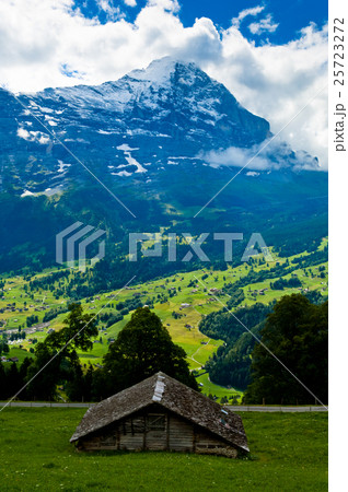 Summer in the Swiss mountains - Bernese Alps Summer in the Swiss mountains - Bernese Alps 25723272