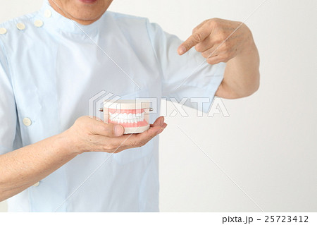 歯科医・歯医者 25723412