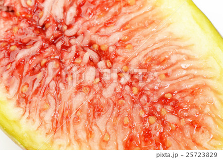 イチジク 25723829