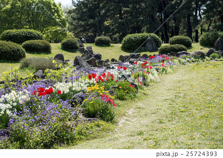名古屋の都市風景・庄内緑地公園 25724393