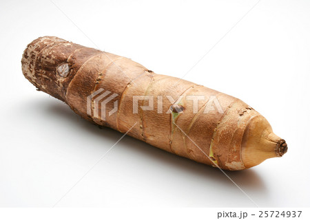 タケノコイモ（京芋）宮崎県産 25724937