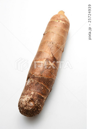 タケノコイモ（京芋）宮崎県産 25724939