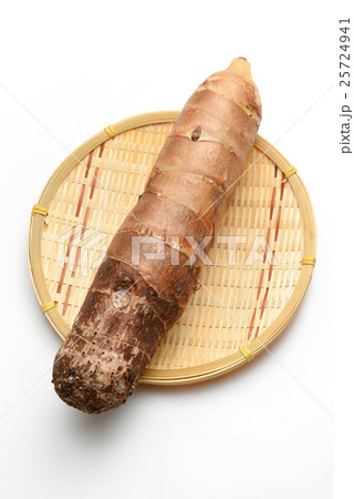 タケノコイモ（京芋）宮崎県産 25724941