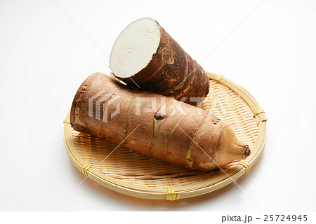 タケノコイモ（京芋）宮崎県産 25724945