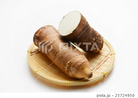 タケノコイモ（京芋）宮崎県産 25724950