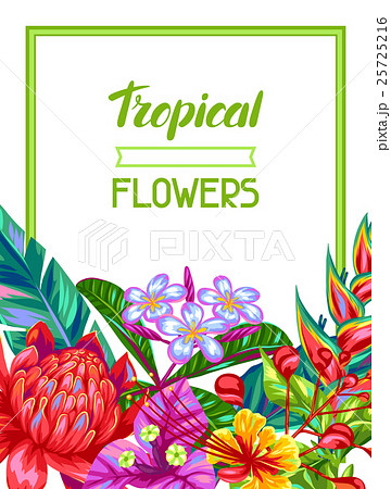 Invitation Card With Thailand Flowers Tropicalのイラスト素材