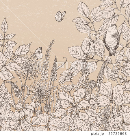 Vintage card with flowers, butterflies and bird. Vintage card with flowers, butterflies and bird. 25725668