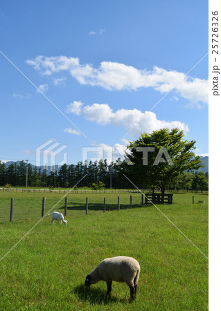 十勝のファーム 25726326